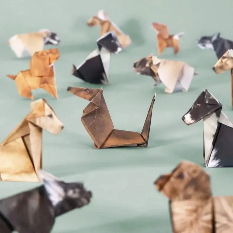Creative DIY Origami Paper Set - Art Craft Dinosaur avis et prix