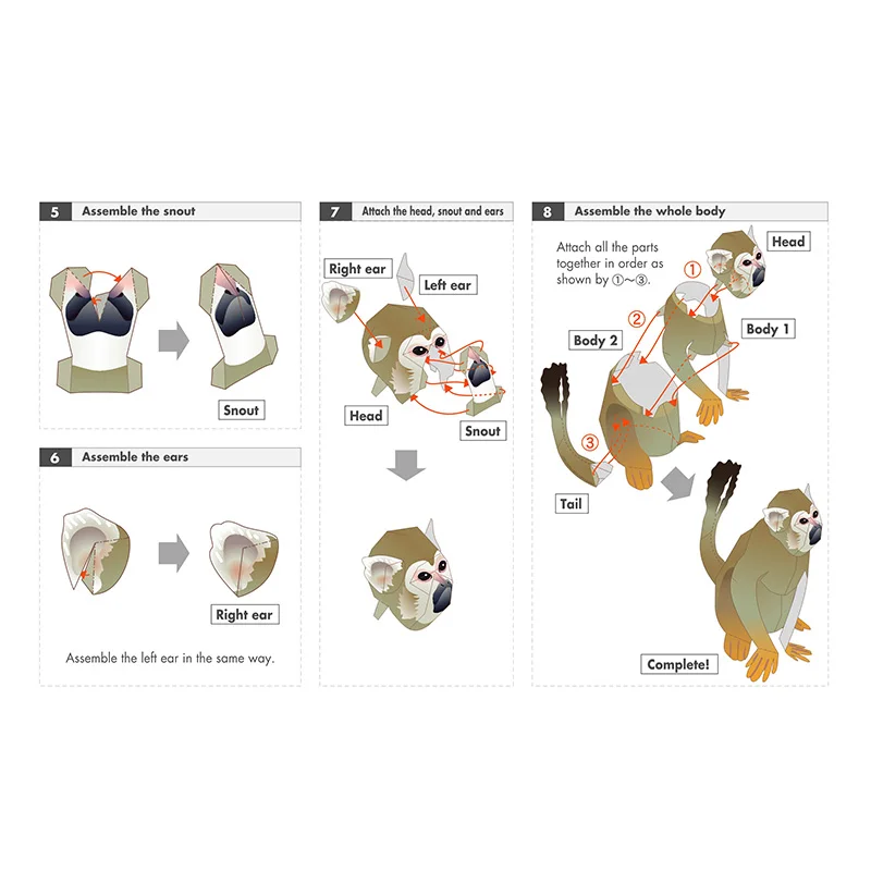 Squirrel Monkey Origami Art Fo - Art Craft Center avis et prix