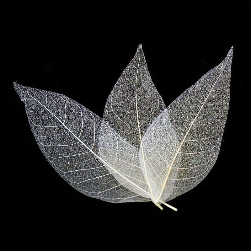 10pcs Art Deco Wooden Leaf Vei - Art Craft Leaves avis et prix