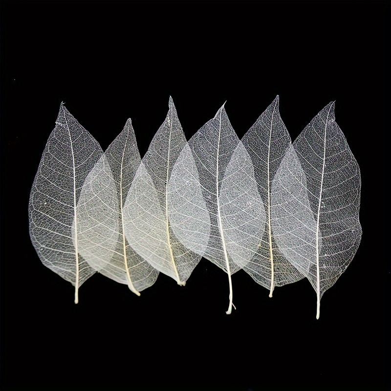 10pcs Art Deco Wooden Leaf Vei - Art Craft Leaves avis et prix