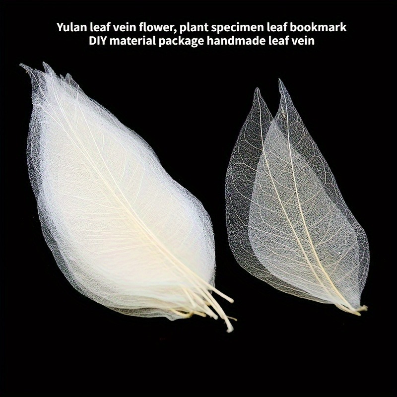 10pcs Art Deco Wooden Leaf Vei - Art Craft Leaves avis et prix