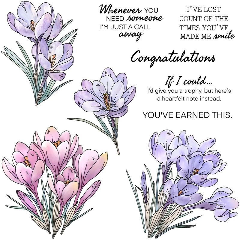 Zephyranthes Candida Cutting D - Rubber Stamp Blank avis et prix