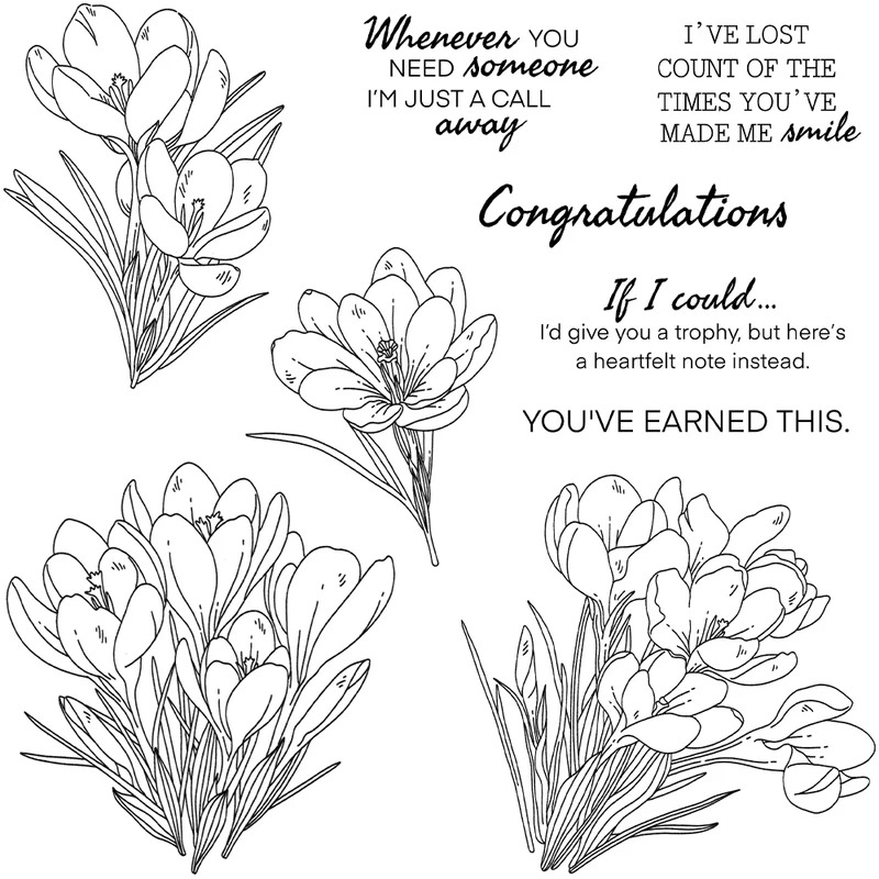 Zephyranthes Candida Cutting D - Rubber Stamp Blank avis et prix