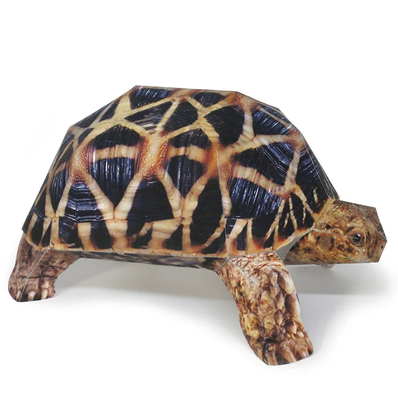 Indian Star Tortoise Paper Mod - Art Craft Center avis et prix