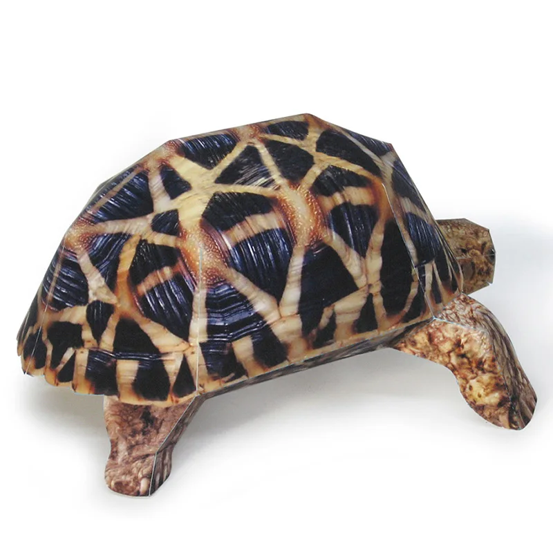 Indian Star Tortoise Paper Mod - Art Craft Center avis et prix