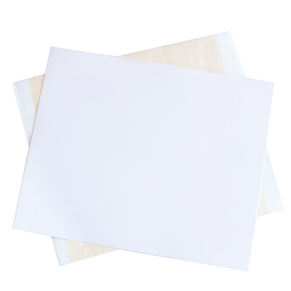 13x13.5cm Champagne Silver Foi - Art Craft Leaves avis et prix