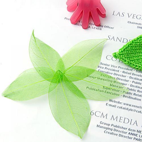 Natural Catbrier Skeleton Leav - Art Craft Leaves avis et prix