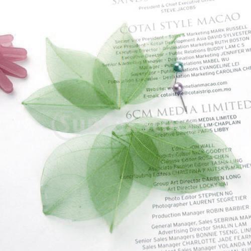 Natural Catbrier Skeleton Leav - Art Craft Leaves avis et prix