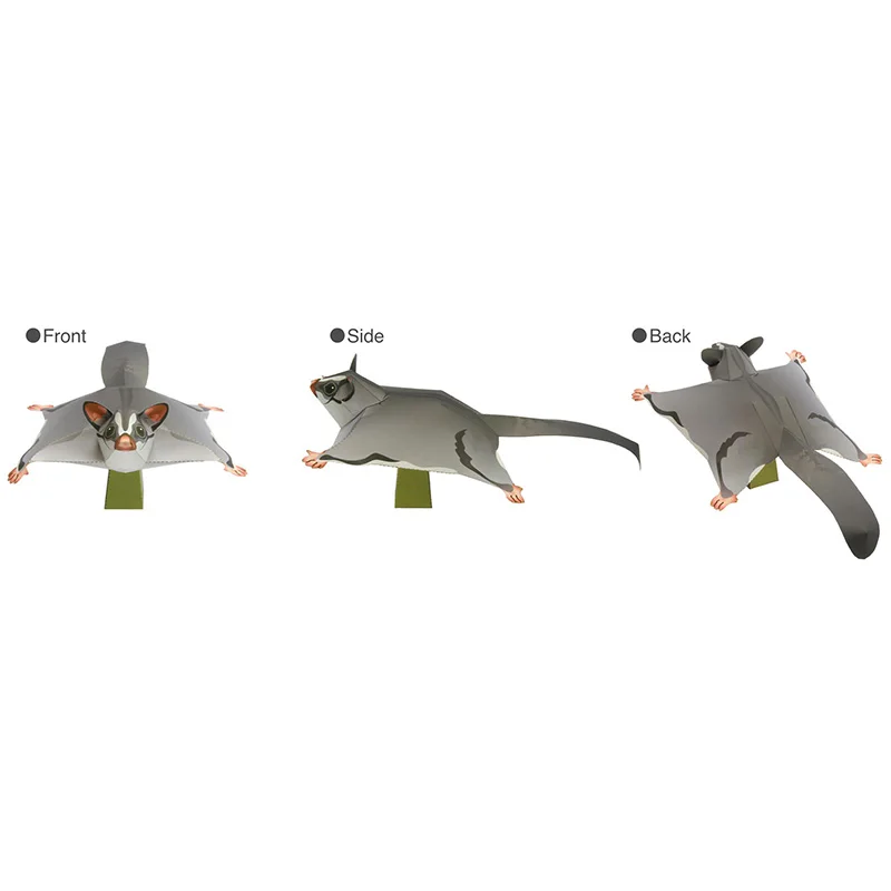 Sugar Glider Flying Mouse Hand - Art Craft Center avis et prix