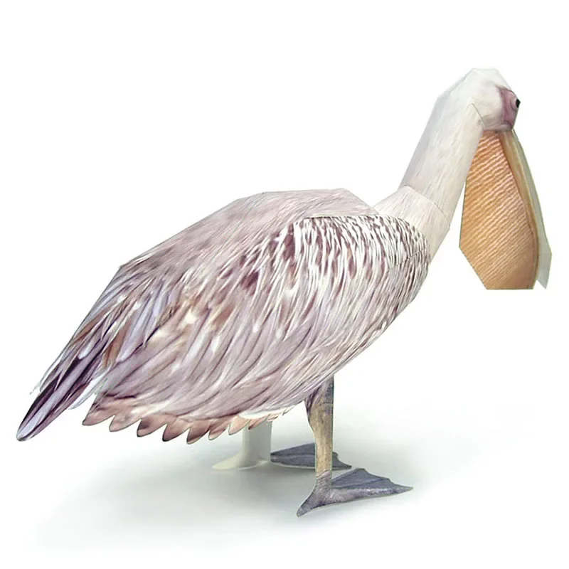 Great White Pelican Bird Paper - Art Craft Center avis et prix
